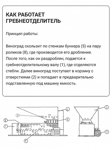 Электрический гребнеотделитель Rondinella из нержавеющей стали
